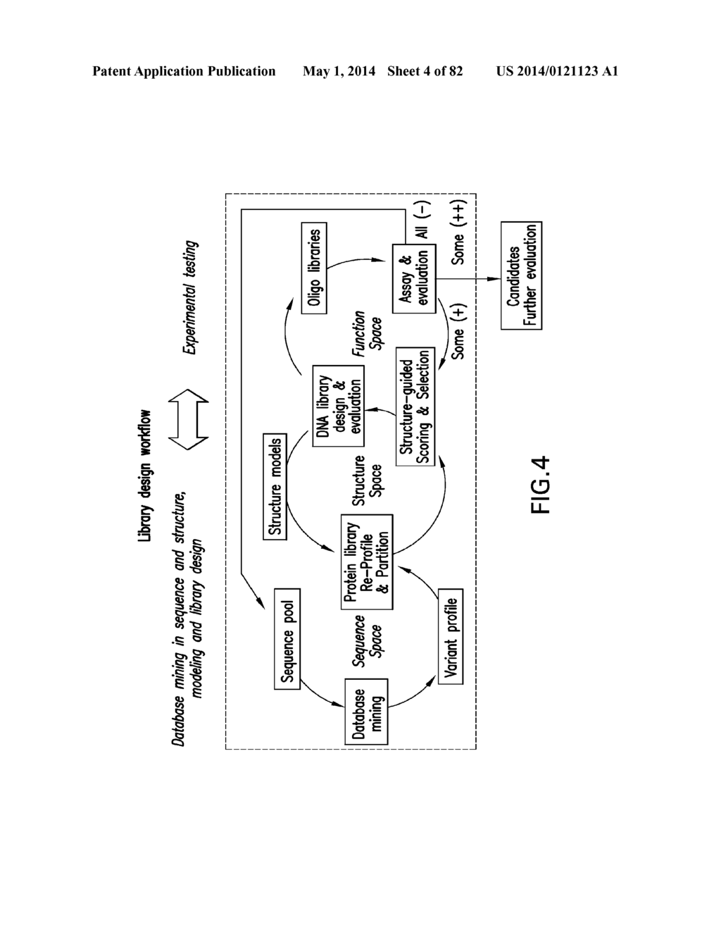 METHODS FOR DIVERSIFYING ANTIBODIES, ANTIBODIES DERIVED THEREFROM AND USES     THEREOF - diagram, schematic, and image 05