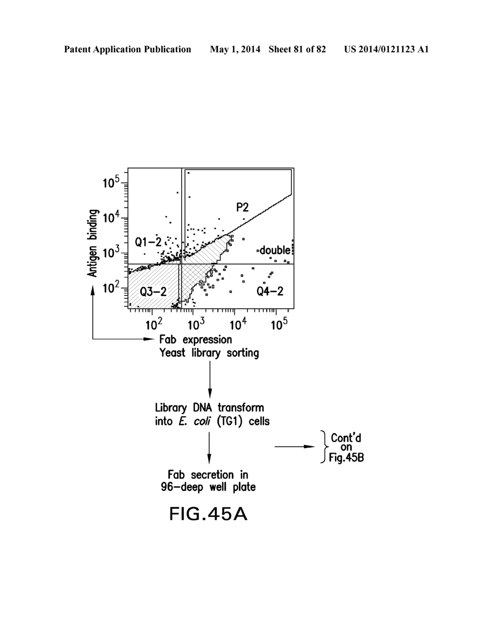 METHODS FOR DIVERSIFYING ANTIBODIES, ANTIBODIES DERIVED THEREFROM AND USES     THEREOF - diagram, schematic, and image 82