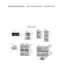 METHODS OF DETECTING AXL AND GAS6 IN CANCER PATIENTS diagram and image