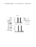 METHODS OF DETECTING AXL AND GAS6 IN CANCER PATIENTS diagram and image