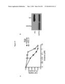 METHODS OF DETECTING AXL AND GAS6 IN CANCER PATIENTS diagram and image