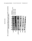 METHODS OF DETECTING AXL AND GAS6 IN CANCER PATIENTS diagram and image