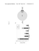 Methods and Compositions for Diagnosis of Ovarian Cancer diagram and image