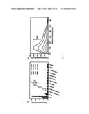 Alkylamino BODIPY Dyes As Selective Fluorescent Probes For Proteins And     Mouse Embryonic Stem Cells diagram and image