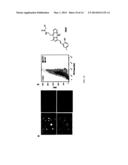 Alkylamino BODIPY Dyes As Selective Fluorescent Probes For Proteins And     Mouse Embryonic Stem Cells diagram and image