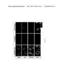 Alkylamino BODIPY Dyes As Selective Fluorescent Probes For Proteins And     Mouse Embryonic Stem Cells diagram and image