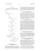 SUBSTITUTED PYRIDOPYRAZINES AS NOVEL SYK INHIBITORS diagram and image