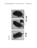 MATERIALS AND METHODS FOR SUPPRESSING AND/OR TREATING NEUROFIBROMA AND     RELATED TUMORS diagram and image