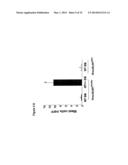 MATERIALS AND METHODS FOR SUPPRESSING AND/OR TREATING NEUROFIBROMA AND     RELATED TUMORS diagram and image