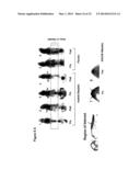 MATERIALS AND METHODS FOR SUPPRESSING AND/OR TREATING NEUROFIBROMA AND     RELATED TUMORS diagram and image