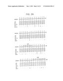 HUMANIZED ANTIBODY AND PROCESS FOR PREPARING SAME diagram and image