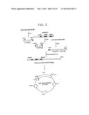 HUMANIZED ANTIBODY AND PROCESS FOR PREPARING SAME diagram and image