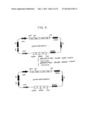 HUMANIZED ANTIBODY AND PROCESS FOR PREPARING SAME diagram and image