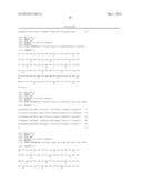 HUMANIZED ANTIBODY AND PROCESS FOR PREPARING SAME diagram and image