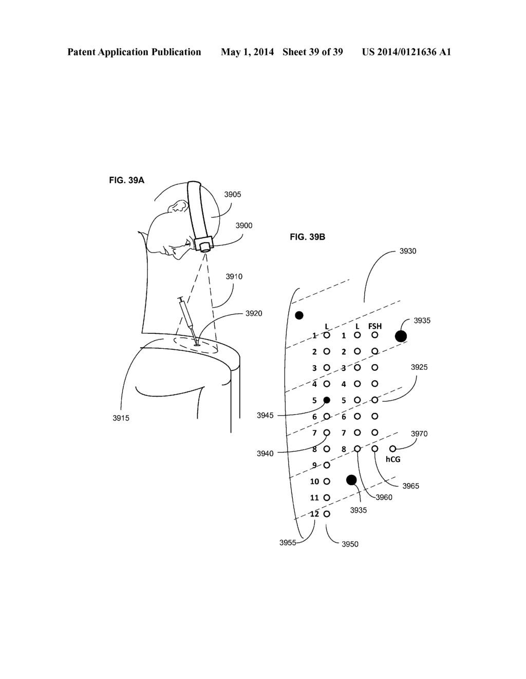 SYSTEMS AND METHODS FOR GUIDING INJECTIONS - diagram, schematic, and image 40