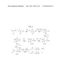 Transformed Plants Having Increased Beta-Carotene Levels, Increased     Half-Life and Bioavailability and Methods of Producing Such diagram and image