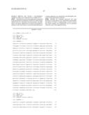 Transformed Plants Having Increased Beta-Carotene Levels, Increased     Half-Life and Bioavailability and Methods of Producing Such diagram and image