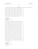 Transformed Plants Having Increased Beta-Carotene Levels, Increased     Half-Life and Bioavailability and Methods of Producing Such diagram and image