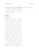 Transformed Plants Having Increased Beta-Carotene Levels, Increased     Half-Life and Bioavailability and Methods of Producing Such diagram and image