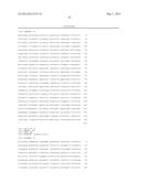 Transformed Plants Having Increased Beta-Carotene Levels, Increased     Half-Life and Bioavailability and Methods of Producing Such diagram and image