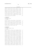 Transformed Plants Having Increased Beta-Carotene Levels, Increased     Half-Life and Bioavailability and Methods of Producing Such diagram and image