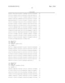 Transformed Plants Having Increased Beta-Carotene Levels, Increased     Half-Life and Bioavailability and Methods of Producing Such diagram and image