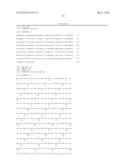 Transformed Plants Having Increased Beta-Carotene Levels, Increased     Half-Life and Bioavailability and Methods of Producing Such diagram and image