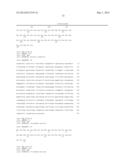 Transformed Plants Having Increased Beta-Carotene Levels, Increased     Half-Life and Bioavailability and Methods of Producing Such diagram and image