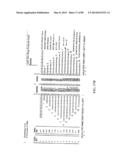 APPARATUS AND METHOD FOR CALCULATING AIMING POINT INFORMATION diagram and image