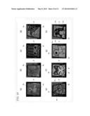 CONCENTRATOR PHOTOVOLTAIC PANEL, CONCENTRATOR PHOTOVOLTAIC, AND     CONCENTRATOR PHOTOVOLTAIC SYSTEM diagram and image