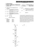 Nozzle Selective Perforating Jet Assembly diagram and image