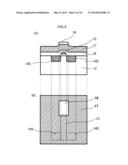 ELECTRODE CHIP FOR DETECTING BIOLOGICAL MOLECULE, AND METHOD FOR DETECTING     BIOLOGICAL MOLECULE diagram and image