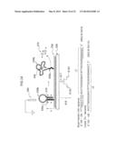 ELECTRODE CHIP FOR DETECTING BIOLOGICAL MOLECULE, AND METHOD FOR DETECTING     BIOLOGICAL MOLECULE diagram and image