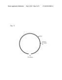 Wafer-to-Wafer Process for Manufacturing a Stacked Structure diagram and image