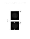 MAGNETIC RESONANCE IMAGING APPARATUS AND GRADIENT MAGNETIC FIELD WAVERFORM     ESTIMATION METHOD diagram and image