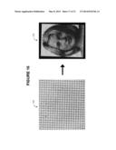 ENCODING HIDDEN INFORMATION IN SPATIAL LINE FREQUENCIES diagram and image
