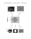 ENCODING HIDDEN INFORMATION IN SPATIAL LINE FREQUENCIES diagram and image