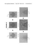 ENCODING HIDDEN INFORMATION IN SPATIAL LINE FREQUENCIES diagram and image