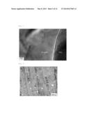 OXYGEN ATOM-DISPERSED METAL MATRIX COMPOSITE AND METHOD OF MANUFACTURING     THE SAME diagram and image