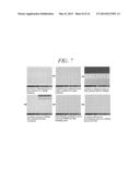 HYDROGEN ION TRANSPORT MEMBRANE, MEMBRANE FOR GENERATING HYDROGEN, AND     METHOD FOR MANUFACTURING SAME diagram and image