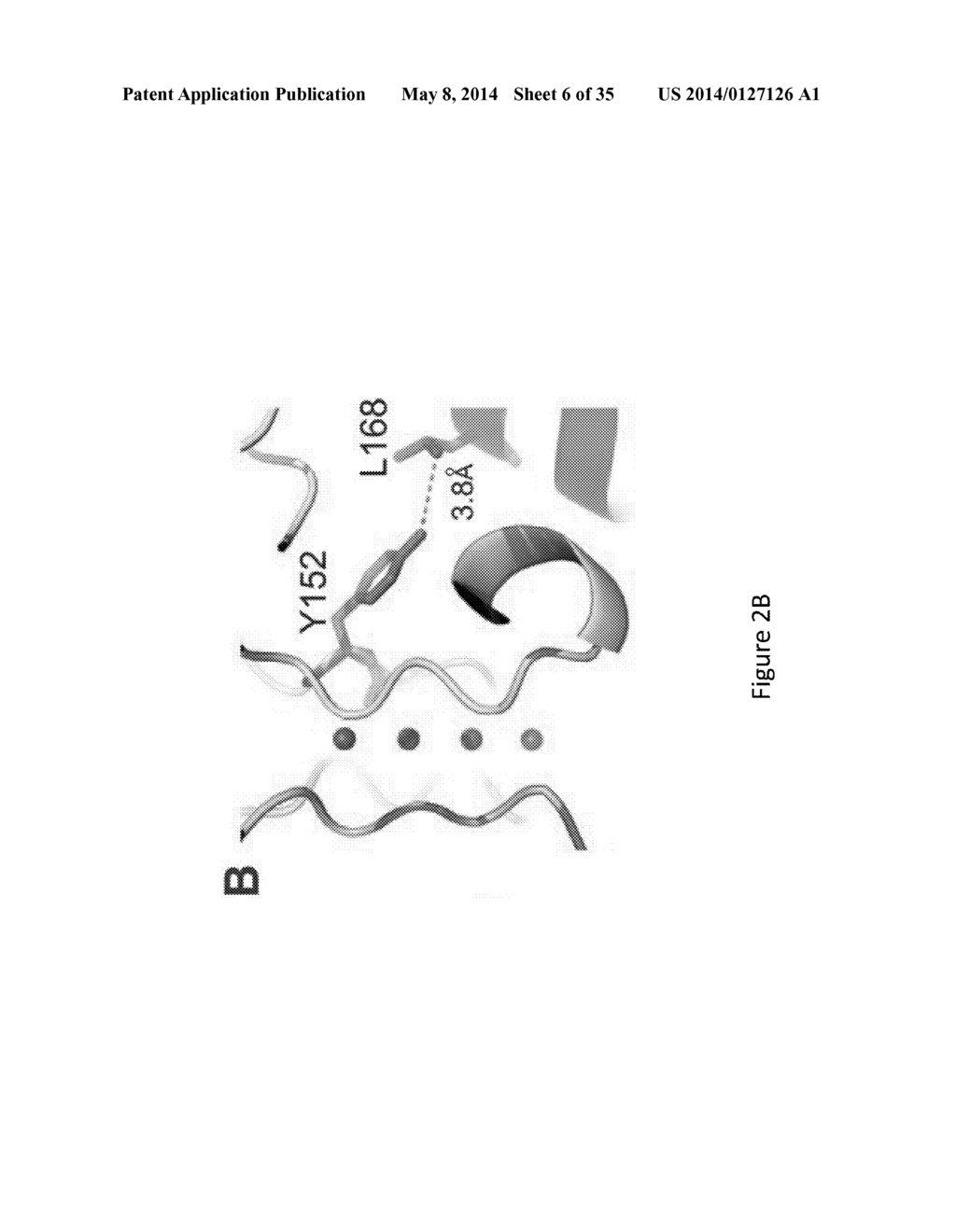 Compositions and Methods for Assessing and Treating Adrenal Diseases and     Disorders - diagram, schematic, and image 07