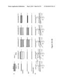 Compositions and Methods for Assessing and Treating Adrenal Diseases and     Disorders diagram and image