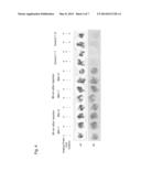 Molecular Probe for Imaging of Pancreatic Islets and Use of the Same diagram and image