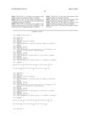 Molecular Probe for Imaging of Pancreatic Islets and Use of the Same diagram and image