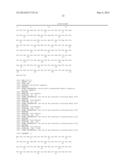 DIMERIC BINDING PROTEINS BASED ON MODIFIED UBIQUITINS diagram and image