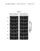 BRANCHED AMPHIPATHIC BLOCK POLYMER AND MOLECULAR AGGREGATE AND DRUG     DELIVERY SYSTEM USING SAME diagram and image