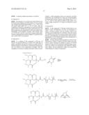 BRANCHED AMPHIPATHIC BLOCK POLYMER AND MOLECULAR AGGREGATE AND DRUG     DELIVERY SYSTEM USING SAME diagram and image