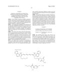 BRANCHED AMPHIPATHIC BLOCK POLYMER AND MOLECULAR AGGREGATE AND DRUG     DELIVERY SYSTEM USING SAME diagram and image