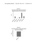 Methods of Manufacture of Therapeutic Products Comprising Vitalized     Placental Dispersions diagram and image