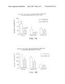 METHODS OF TREATING CENTRAL NERVOUS SYSTEM ISCHEMIC OR HEMORRHAGIC INJURY     USING ANTI ALPHA4 INTEGRIN ANTAGONISTS diagram and image